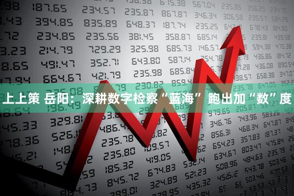 上上策 岳阳：深耕数字检察“蓝海” 跑出加“数”度